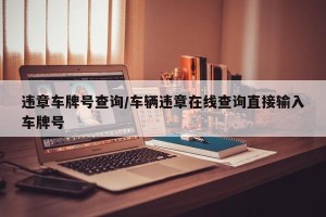 违章车牌号查询/车辆违章在线查询直接输入车牌号